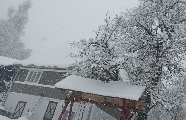 Room in Guest Room - Cozy Rural Retreat in Roşia Montana - Photo 41