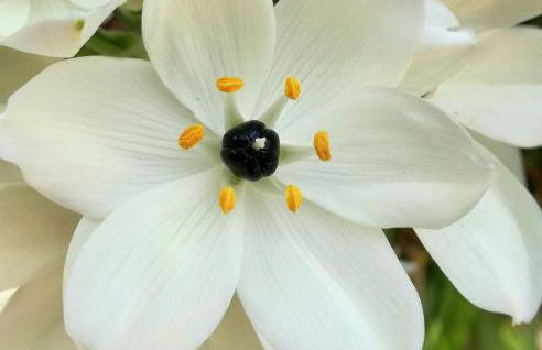 Agroturismo Matxani Gran - Foto 20