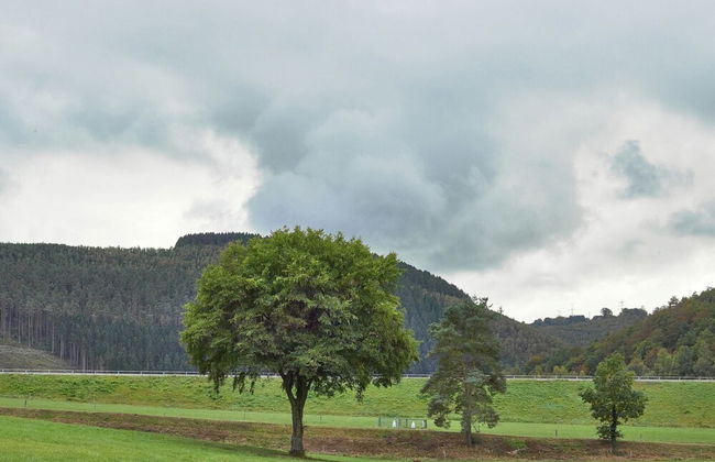 A Large Family House - Foto 27