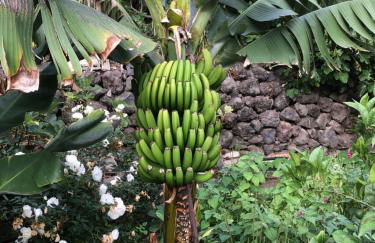 Casa Lucia - Foto 32