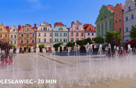 Willa Różowy Domek - Foto 22