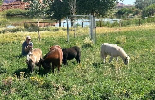 Wingate House at Sand Creek Homestead - Foto 27