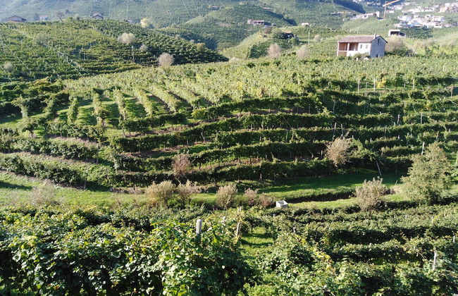 La Casa Vecchia - Foto 38