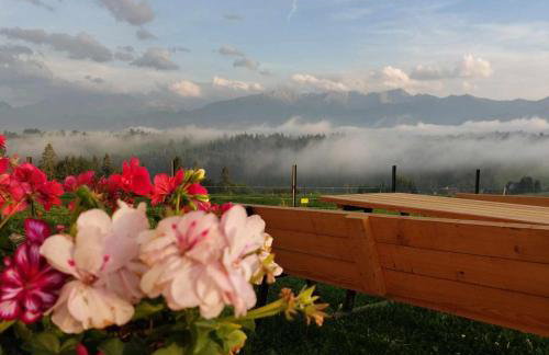 NOWA CHATA - Foto 36