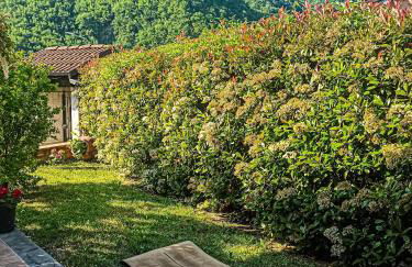 Casa Furia - Foto 47