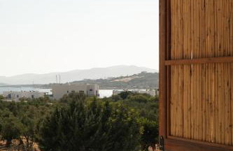 Mazi Paros - Photo 20