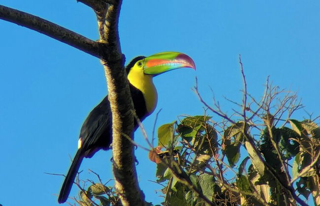 Campos de Oro Wilderness Lodge - Foto 19