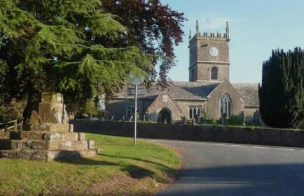 Forest view - Foto 7