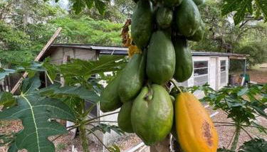 Half Moon Lake Retreat - Foto 3