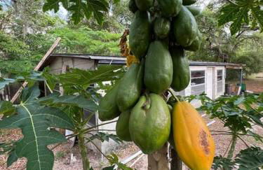 Half Moon Lake Retreat - Foto 3