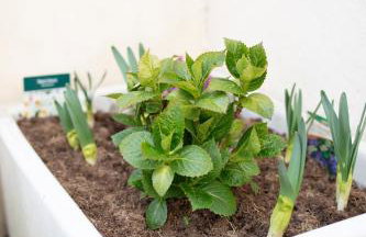 The Ayton Hideaway - Photo 47