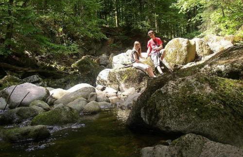 Landurlaub bei Familie Haug - Foto 24