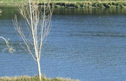 Barca Golf House - Foto 12