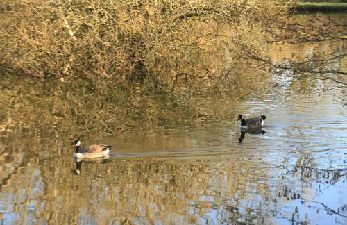 Coach House St Wenn - Foto 9