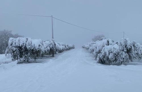 Casa vacanze fra gli ulivi - Foto 17