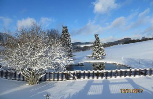 Ferienwohnungen Grafenfelder Hof - Photo 28