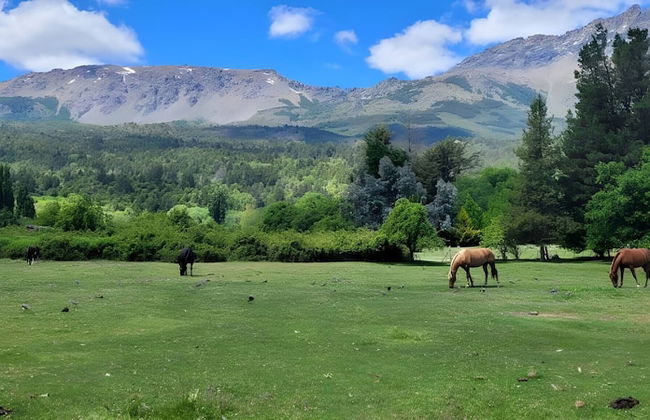 Esaki Farm Near El Bolson - Photo 32