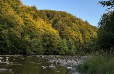 Strefa Ciszy Bieszczady domki z jacuzzi lub z banią z hydromasażem - Foto 60