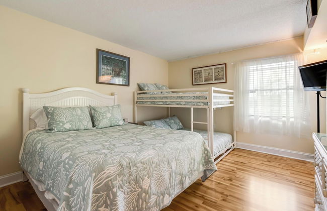 THE Opal S202 - Foto 3