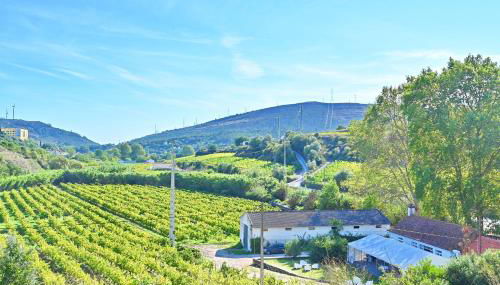 Quinta do Boição - Foto 2