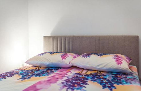 Oleander adria - Foto 13