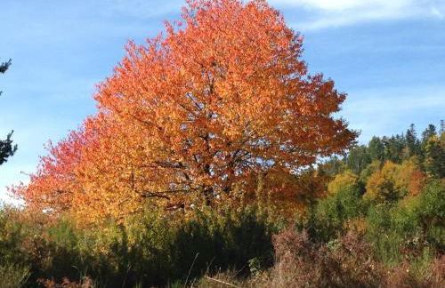 La Vue sur le Paradis - Foto 11