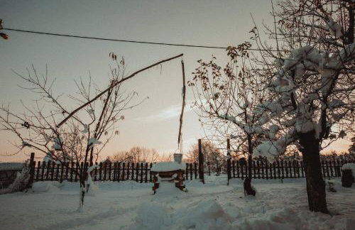 Kuća za odmor Apathy - Foto 25