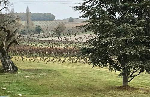 Le Pigeonnier Gite - Foto 37