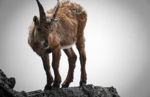 Sella Ronda Apartment - Foto 22