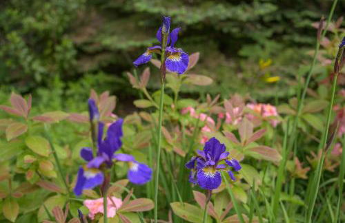 Haven Retreat Scotland - Large 4 Bed House with Woodland garden, Aboyne ,Royal Deeside - Photo 29