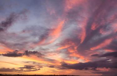 Paradise Cove at Lemon Bay - Foto 70