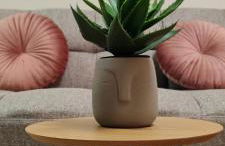 Soul II Soul Veria - Photo 3