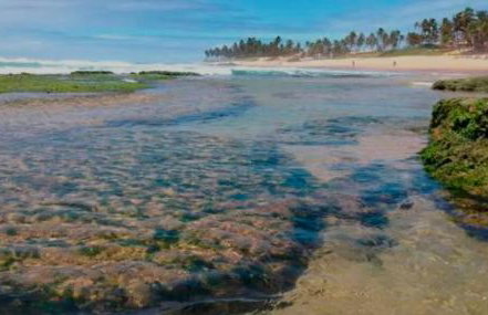 StellaPremium - Photo 21