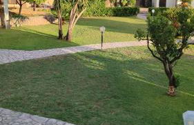 Appartamento in Villa Venezuela piano Terra - Foto 7