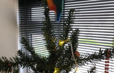 THE HIDEAWAY - LUXURY SELF CATERING COASTAL APARTMENT with PRIVATE ENTRANCE & KEY BOX ENTRY JUST A FEW MINUTES WALK TO THE BEACH, SOLENT WAY WALK, SHOPS and many EATERIES & BARS - FREE OFF ROAD PARKING,FULL KITCHEN, LOUNGE,BEDROOM , BATHROOM & WI-FI - Foto 56