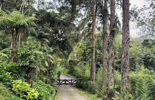 Serra Nevada House - Foto 45