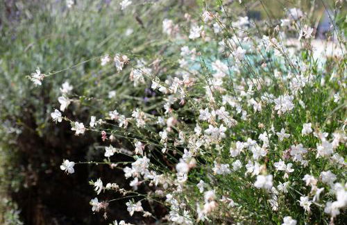 Country House Villa Sabrina - Foto 63