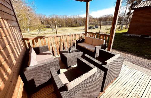 Magnifique chalet climatisé avec jardin adapté PMR - Foto 18