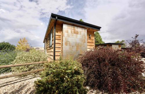 Escalante Escapes Star Lily- Bunk Escape - Foto 3