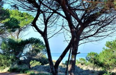 Appartamento Calarossa Sardegna CasaRosa - Foto 26