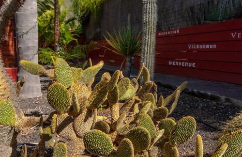 El Rincón Del Huroncillo - Foto 31