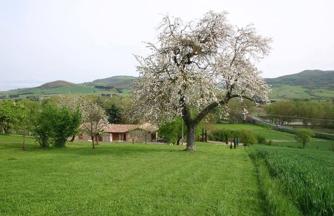 La Collina dei Ciliegi - Photo 30