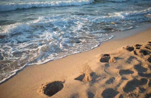 Magnifique villa avec piscine au bord de mer - Foto 42