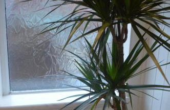 8 bed house 2 miles (7 Mins) from Newcastle centre - Foto 3