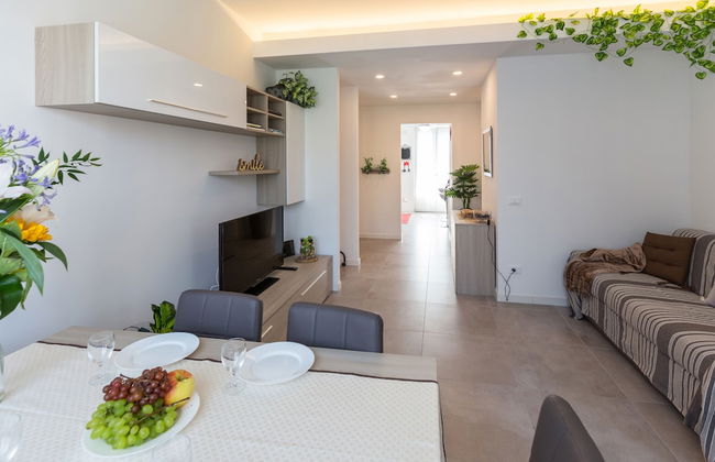 Sem Benelli - Photo 19