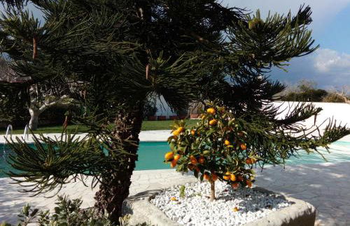 Casa vacanza Augusto - Foto 26