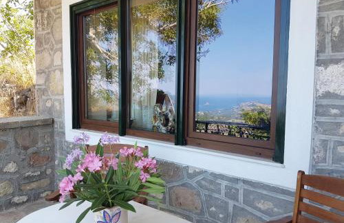 Villa Petri - Foto 12