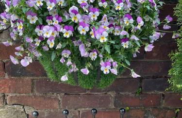 Cute and cosy 2 bed cottage - Foto 37