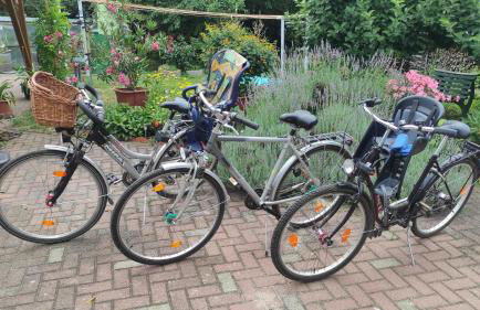 Ferienwohnung am Olbasee - Foto 24