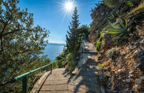 Apartments TOM - Photo 6